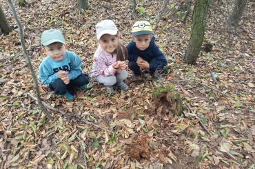 IMG_20260904_105948