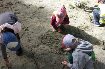 IMG-20260916-WA0017